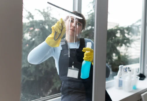Nettoyage de vitres intérieures et extérieures à Léotoing